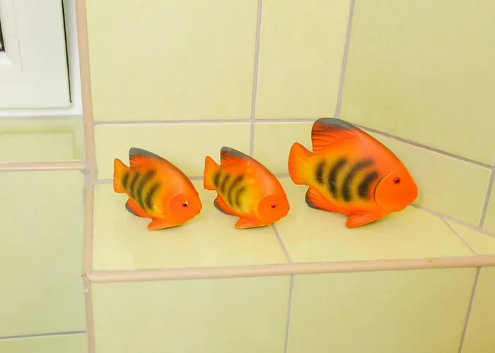 Lavanda דירה פג